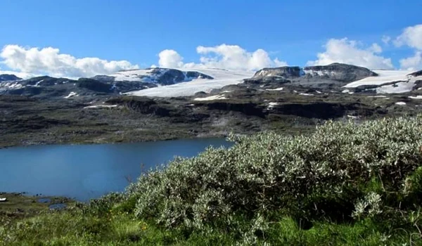 Groenlanda, un tărâm în alb şi verde jpeg
