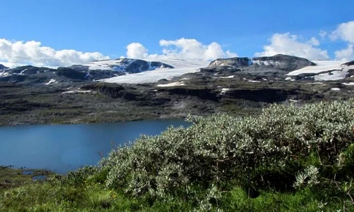 Groenlanda, un tărâm în alb şi verde jpeg