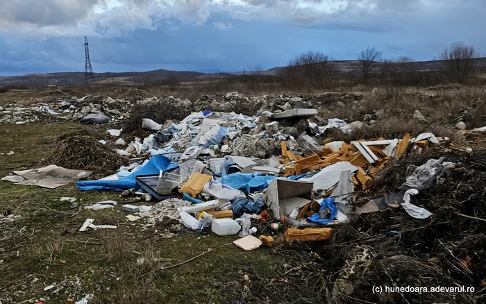 Gunoaie pe malurile râului Strei, în zona satului Strei. Foto: Daniel Guță. ADEVĂRUL