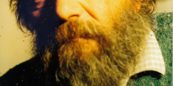 grigore bradea 