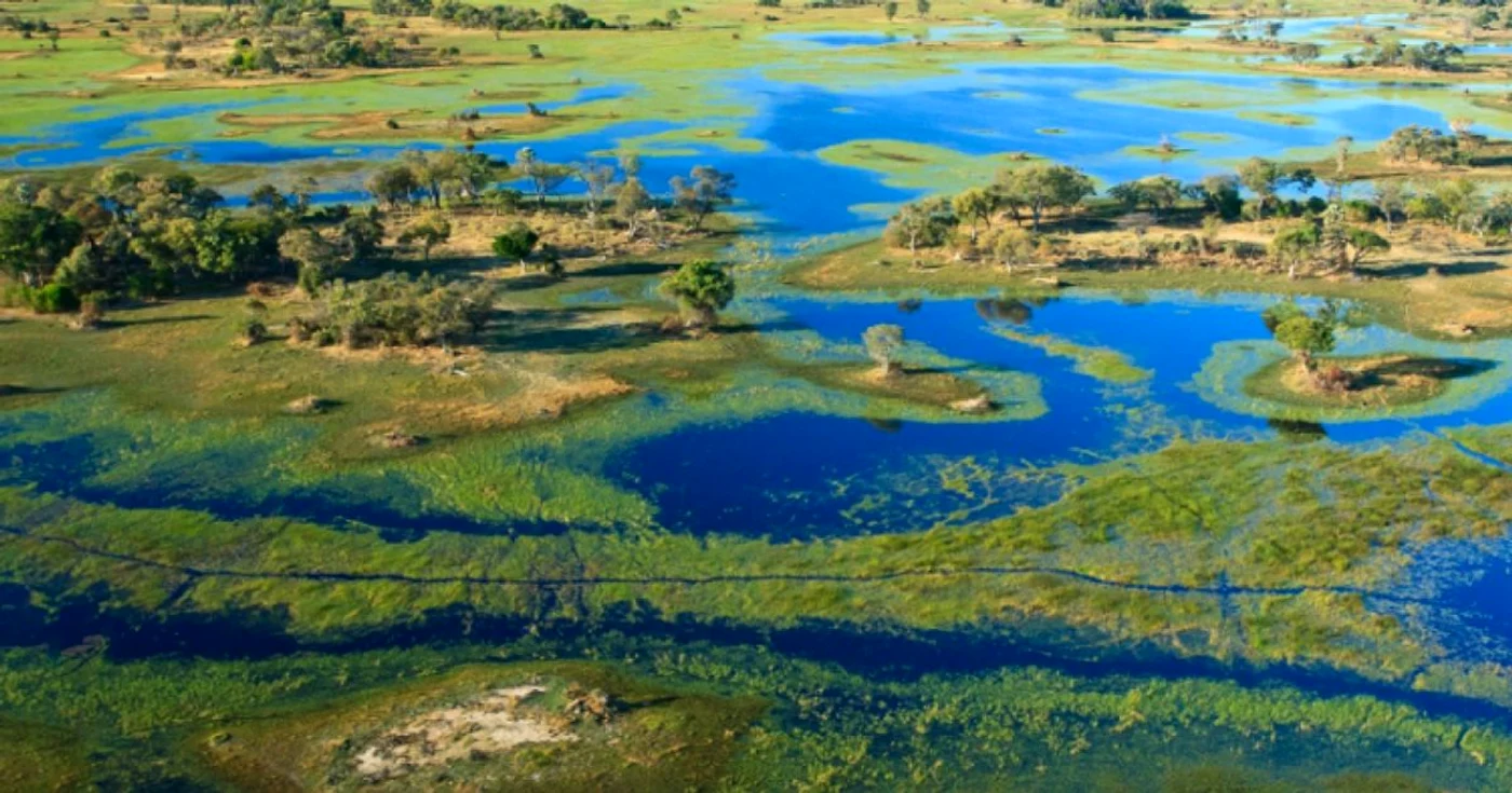 delta okavango