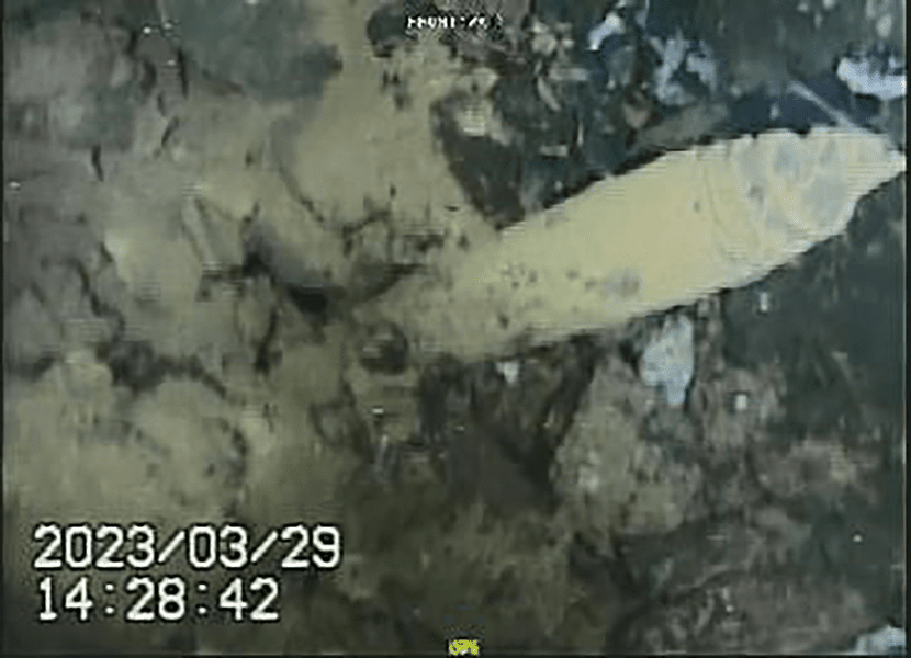 Fukushima: Noi imagini arată pagubele şi o mare cantitate de deşeuri radioactive în interiorul unui reactor VIDEO