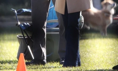 1 ben affleck ana armas 768x1182 jpg jpeg