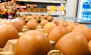 Oua, foto Shutterstock jpg