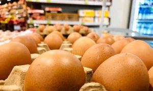 Oua, foto Shutterstock jpg