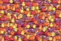 test jpg