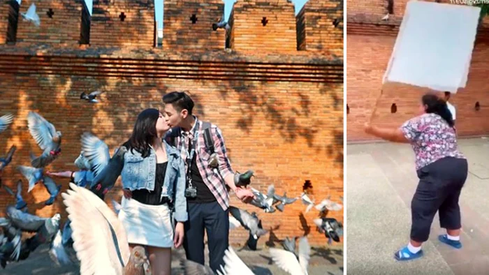 Noon, de 30 de ani, flutură un steag alb pentru a goni porumbeii prin fața obiectivului foto