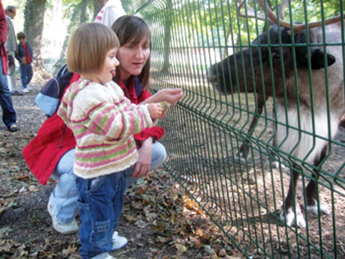 Timişoara: Copiii au sărbătorit animalele de la zoo