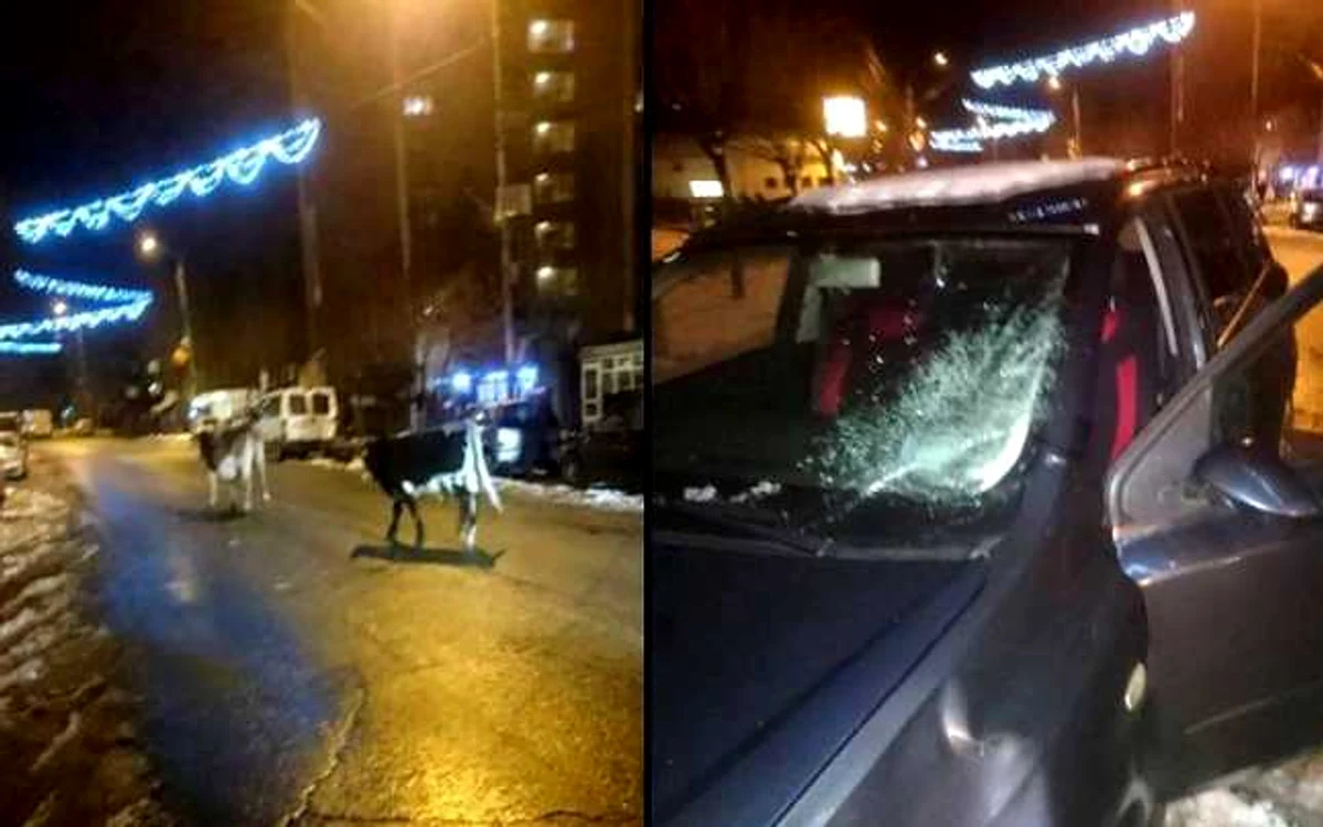 Vacile maidanee au provocat distrugeri în Lupeni.
