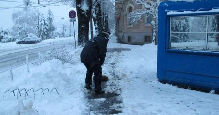 Zăpada Timişoara