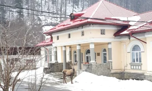 img 20190222 wa0009 jpeg