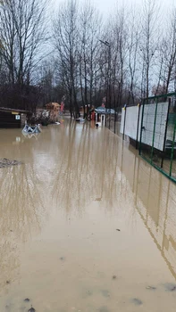 inundatii Insula Crapilor 03 foto Facebook Raul Cristian