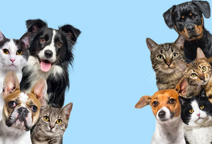 Singurul animal din lume care e mai mare atunci când e pui / foto: iStock