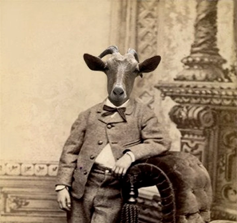 Capra vecinului din cultura română jpeg