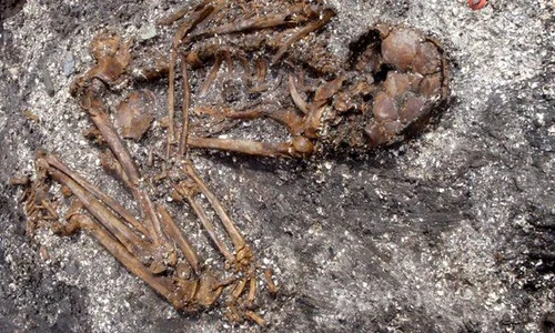 Istoria străveche e Japoniei, rescrisă de descoperirea unor schelete misterioase ale unui popor necunoscut jpeg