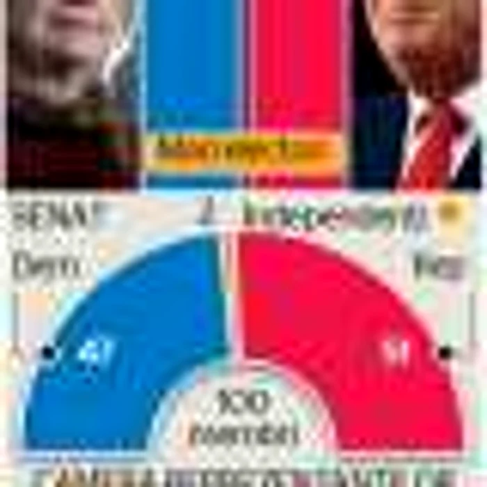 INFOGRAFIE Rezultate alegeri