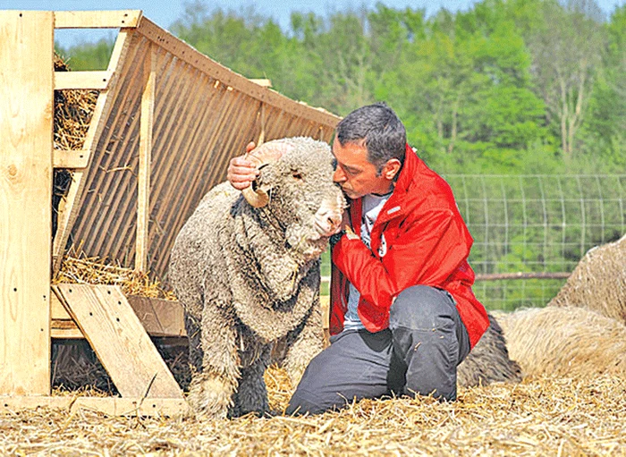 Mielul Easter s-a născut la Periș chiar de Paște
