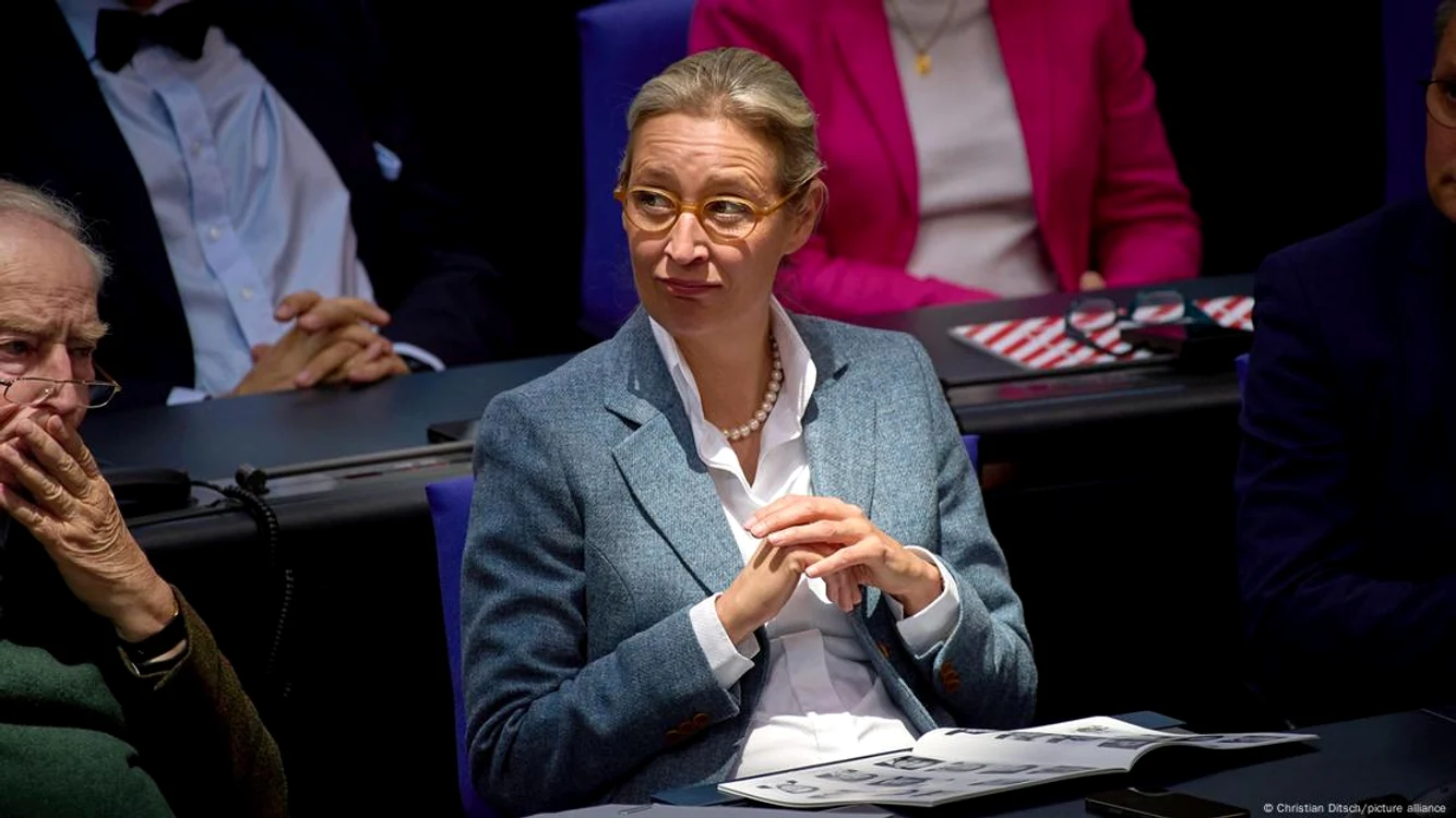 Alice Weidel, membră a Bundestagului și copreședintă a AfD
