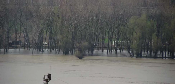 Inundaţii la intrarea în Delta Dunării FOTO Arhivă Adevărul