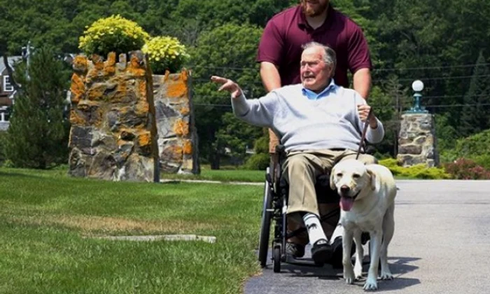 1 sully bush cainele lui george bush 4 jpg jpeg