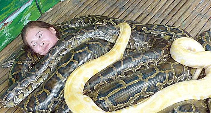 Masajul este  urmărit cu grijă  de îngrijitori (Fotografii: Photoland/Caters)