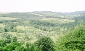 CLIIMA20140225 0014 1 jpeg