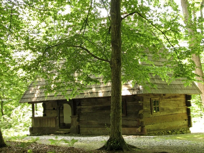 casa mesteroaiei din sapanta - foto arhiva CNM Astra