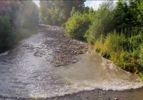 viitura alba geaoagiu