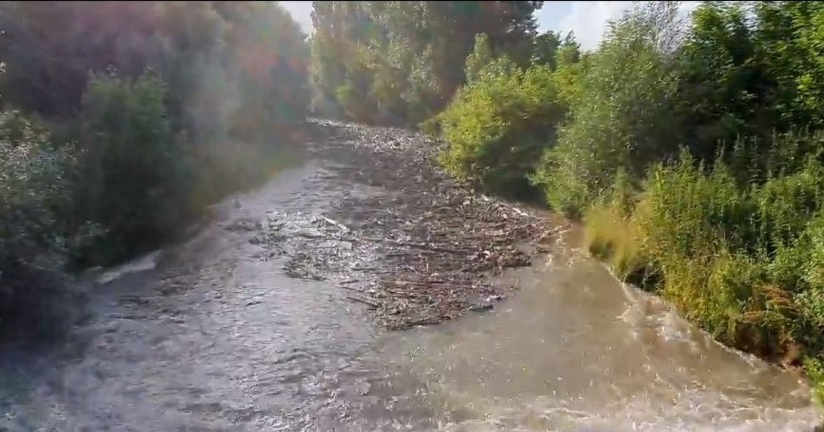 Cod galben de viituri pe râuri din cinci judeţe