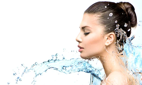 shutterstock 221623813 jpg