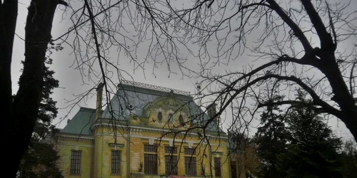 muzeul judetean botosani