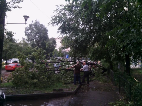 furtuna bucuresti