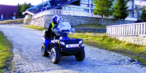 Jandarmii montani şi-au dublat patrulele, ca să prevină defrişările ilegale