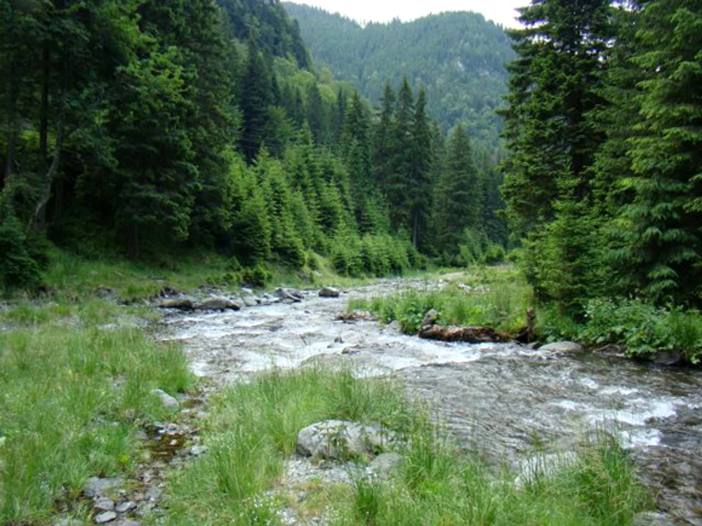 
    Prognoza meteo la munte în weekend anunță cer senin cu mult soarefoto: Click!  