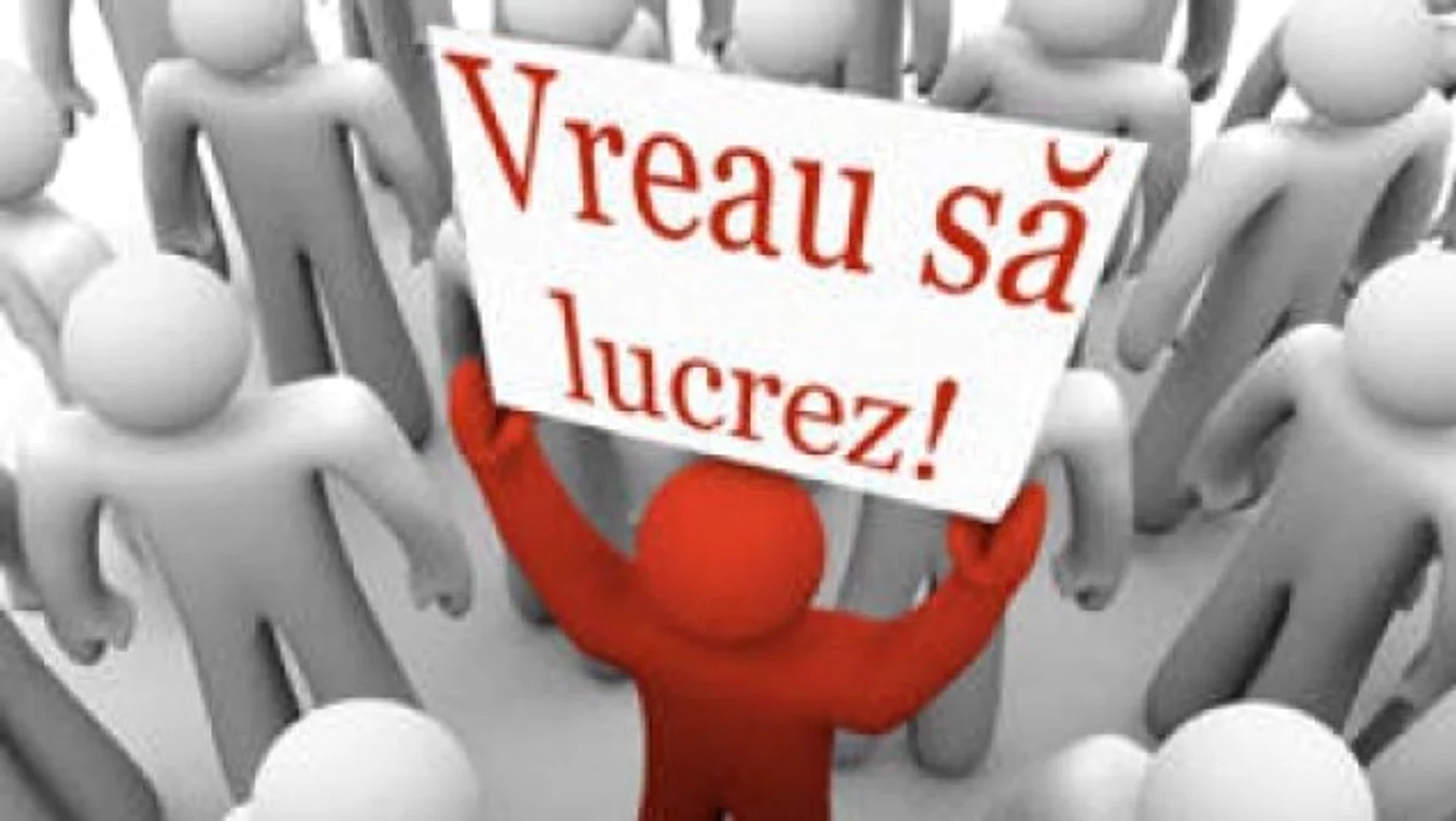 Numărul șomerilor a crescut în luna noiembrie, arată datele oficiale