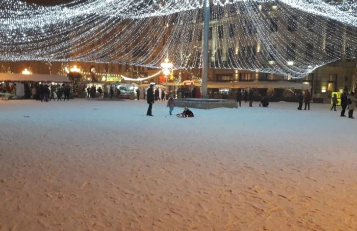 Prima ninsoare din 2019. Timişoara a îmbrăcat din nou haine albe FOTO Ş.Both