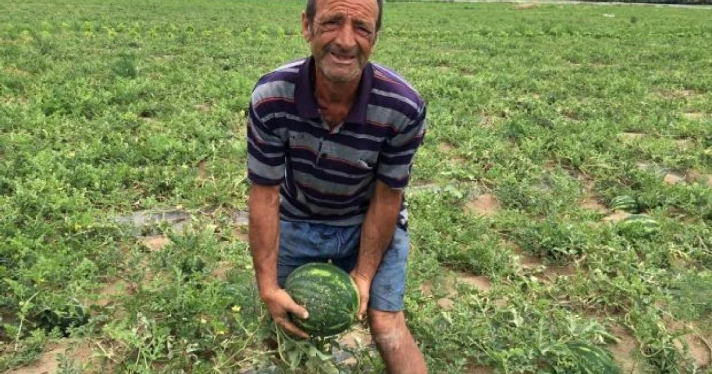 pepeni 