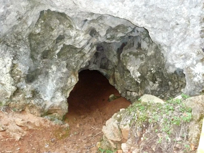 pesteri apuseni