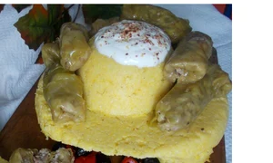 CLIIMA20140606 0043 1 jpeg