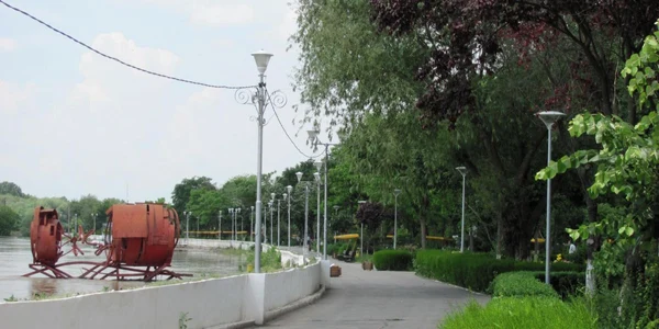 calarasi borcea