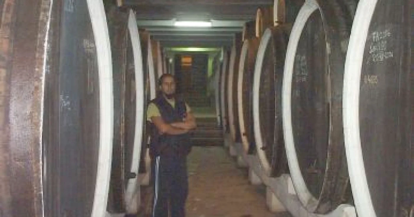 Buzău:Vânzările la vinul cu tradiţie au scăzut la jumătate