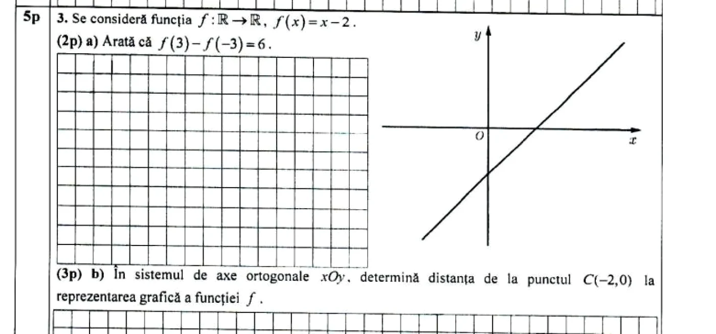 subiecte matematica