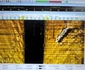 Cercetătorii de la Constanţa fac scufundări în Marea Neagră pentru descoperirea vestigiilor Foto Geo Eco Mar