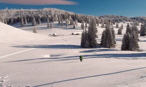 472788114 3456592554650510 642338913326197442 n jpg