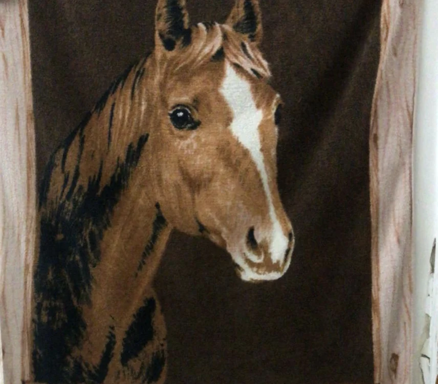 caliasşi