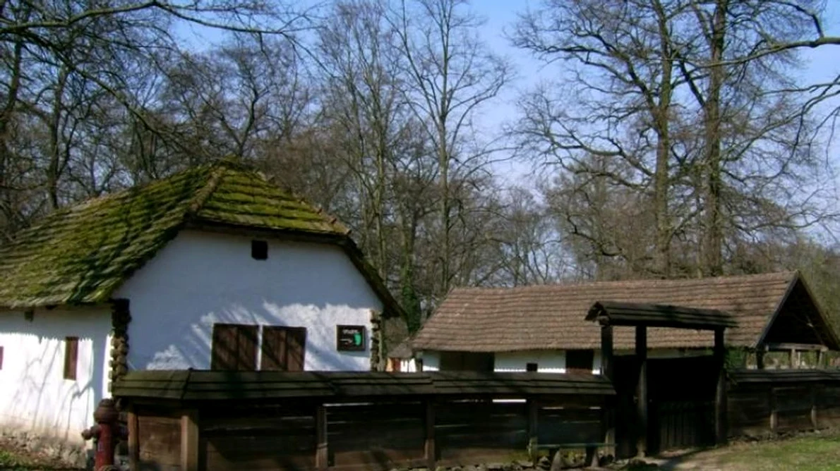 Casă comemorativă, folosită ca depozit de cartofi, la Muzeul Satului Bănăţean jpeg