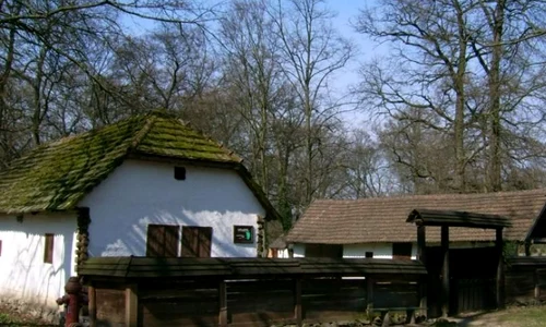 Casă comemorativă, folosită ca depozit de cartofi, la Muzeul Satului Bănăţean jpeg