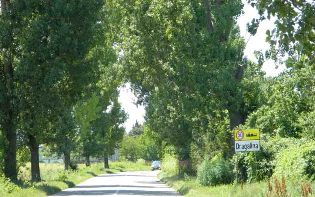 Traficul va fi deviat timp de 3 zile, în perioada 19-20 iulie FOTO Adevărul