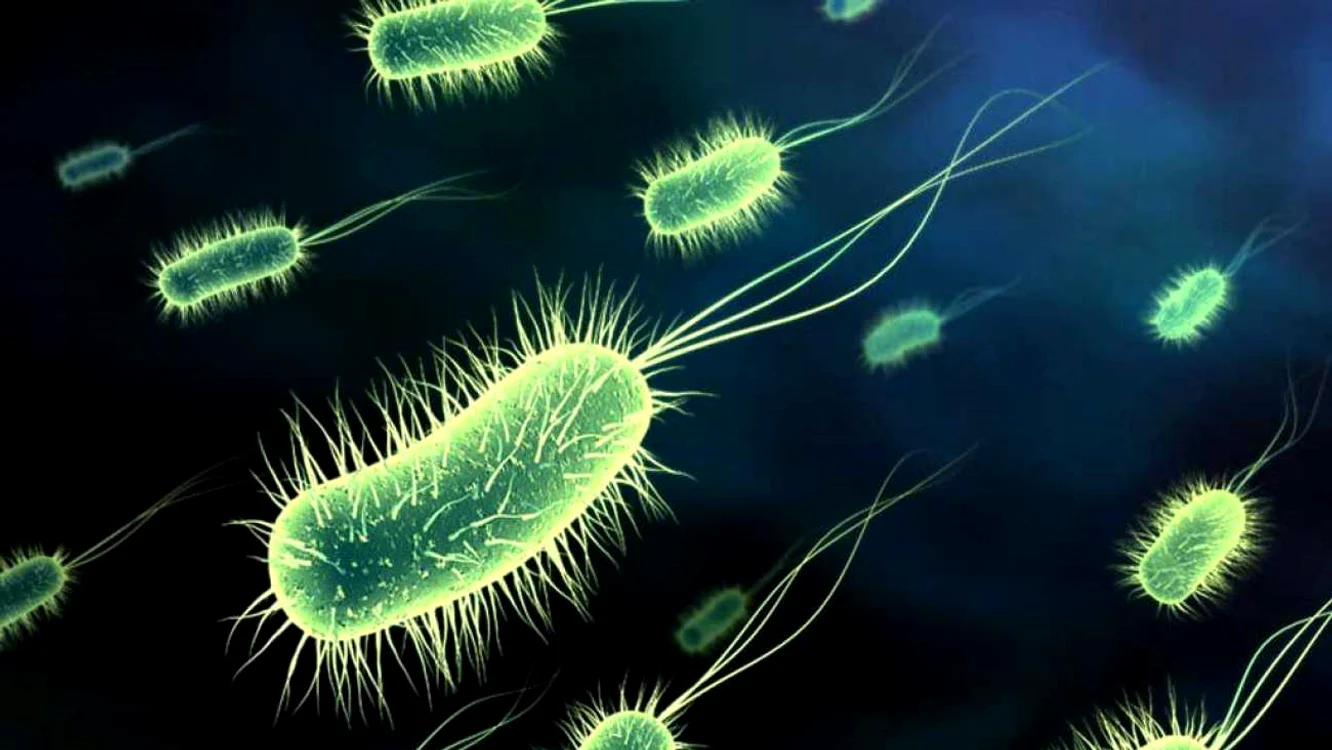 
    Senzaţia de oboseală poate fi cauzată de acumularea de toxine în corpclickpentrufemei.ro  
