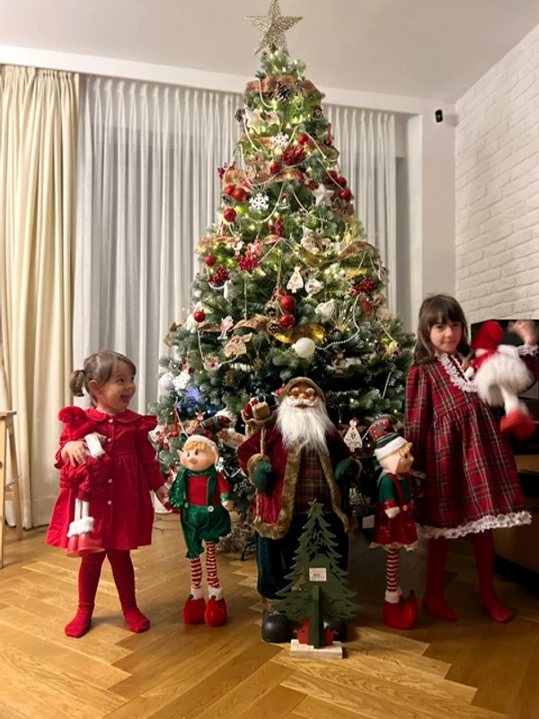 Bradul Dianei Bart este cât casa Sursa Arhivă personală